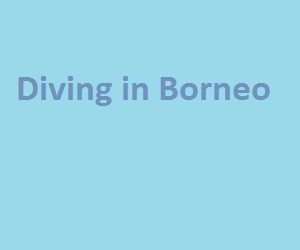 diving in Borneo