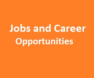 Borneo jobs and career