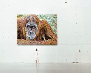 Borneo orang utan art print
