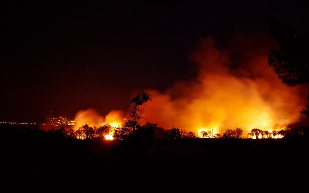 Can Technology Stop Borneo's Forest Fires Before They Start?