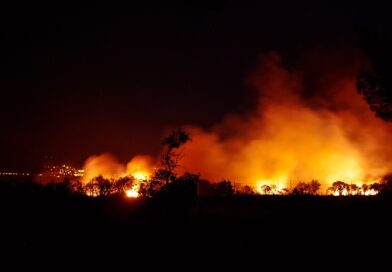 Can Technology Stop Borneo's Forest Fires Before They Start?