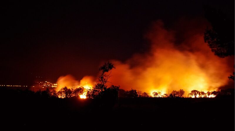 Can Technology Stop Borneo's Forest Fires Before They Start?