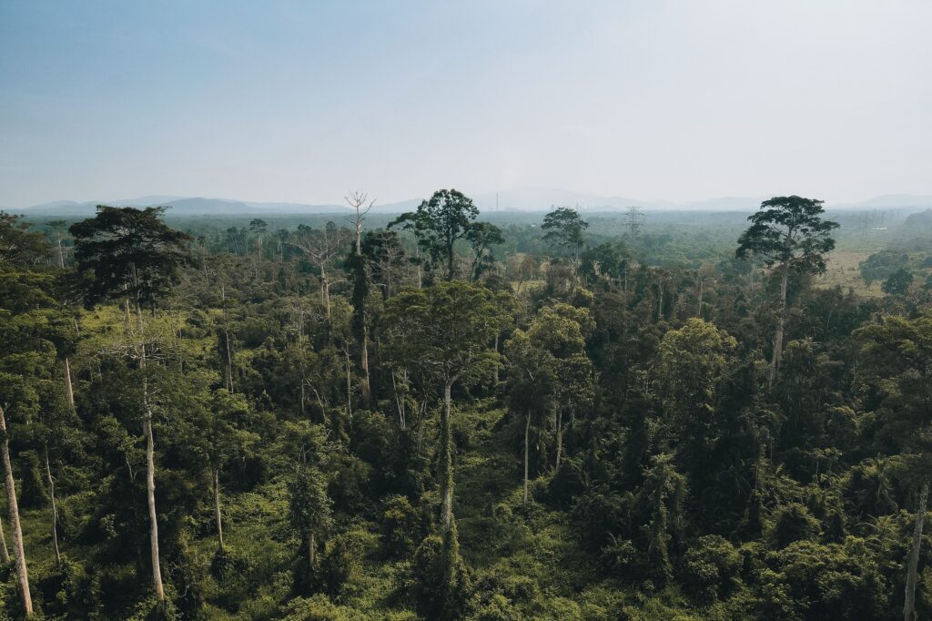 Sarawak's Tourism Future: Extraordinary Experiences Beyond the Ordinary