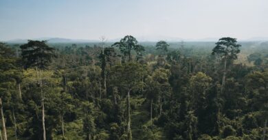 Sarawak's Tourism Future: Extraordinary Experiences Beyond the Ordinary