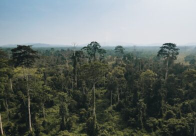 Sarawak's Tourism Future: Extraordinary Experiences Beyond the Ordinary