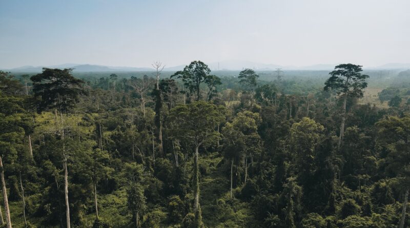 Sarawak's Tourism Future: Extraordinary Experiences Beyond the Ordinary