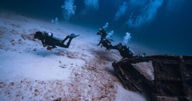 Borneo Beneath the Surface: Shipwrecks, Artificial Reefs and an Extraordinary Underwater World