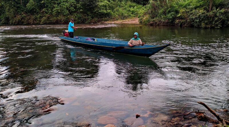 # Borneo Travel Guide: Everything You Need to Know **Planning a journey to Borneo? Discover when to visit, how to get there, where to go and how to explore one of the world's most extraordinary islands.** Borneo is the world's third-largest island, shared by Malaysia, Indonesia and Brunei. From tropical islands and ancient rainforests to remarkable wildlife and remote mountain landscapes, it offers an exceptional variety of travel experiences. Whether you're planning a wildlife holiday, a diving adventure, a cultural journey or an expedition into the interior, this guide covers the essentials. ## Where to Go in Borneo ### Sabah — Wildlife, Mountains and Islands Sabah, in Malaysian Borneo, is particularly known for its wildlife, Mount Kinabalu and exceptional diving. **Highlights:** Kinabatangan River, Sepilok Orangutan Rehabilitation Centre, Danum Valley, Mount Kinabalu, Semporna and Sipadan. **Main gateway:** Kota Kinabalu. **Best for:** Wildlife encounters, diving, adventure and rainforest lodges. ### Sarawak — Rainforests, Caves and Culture Sarawak combines vast rainforest landscapes with distinctive cultural traditions, historic towns and some of Southeast Asia's most impressive caves. **Highlights:** Kuching, Bako National Park, Gunung Mulu National Park, Niah Caves, traditional longhouses and the Batang Rejang river. **Main gateways:** Kuching and Miri. **Best for:** Culture, rainforest exploration, caves and river journeys. ### Brunei — Heritage and Pristine Rainforest Brunei offers an interesting contrast between royal heritage, traditional water villages and protected tropical forests. **Highlights:** Bandar Seri Begawan, Kampong Ayer, Omar Ali Saifuddien Mosque and Ulu Temburong National Park. **Main gateway:** Bandar Seri Begawan. **Best for:** Cultural experiences, architecture and rainforest excursions. ### Kalimantan — The Less-Explored Borneo Indonesian Borneo occupies most of the island and offers extensive rivers, remote forests, traditional communities and developing adventure destinations. **Highlights:** Tanjung Puting National Park, Derawan Islands, Mahakam River, Dayak cultural experiences and the rainforest interior. **Main gateways:** Balikpapan, Pontianak and other regional airports, depending on the destination. **Best for:** River expeditions, orangutan encounters, remote adventures and lesser-visited destinations. ## When Is the Best Time to Visit Borneo? Borneo has a tropical climate, with warm temperatures, high humidity and rainfall throughout the year. There is no single ideal season for the entire island. **March to October:** Often a favourable period for outdoor activities in many parts of Sabah and Sarawak, although conditions vary considerably. **November to February:** Generally wetter in many coastal and rainforest areas, particularly western Sarawak. Travel remains possible, but heavy rain can affect excursions and transport. **Wildlife:** Orangutans, proboscis monkeys and other animals can be encountered throughout the year. Sightings are never guaranteed. **Diving:** Conditions vary by location. Check seasonal sea conditions and marine park access before travelling. **Travel tip:** Borneo's climate varies between regions. Plan around your specific destinations rather than relying on an island-wide forecast. ## Getting to Borneo Most international visitors arrive by air, often connecting through Kuala Lumpur, Singapore or another regional hub. The main airports include: - **Kota Kinabalu (BKI):** Sabah's principal international gateway. - **Kuching (KCH):** Main gateway to southern Sarawak. - **Miri (MYY):** Convenient for northern Sarawak and connections towards Mulu. - **Bandar Seri Begawan (BWN):** Brunei's international airport. - **Balikpapan (BPN) and Pontianak (PNK):** Important gateways to Indonesian Kalimantan. Sandakan and Tawau are useful for reaching Sabah's eastern wildlife and diving destinations. For itineraries involving several regions, domestic and regional flights can save considerable travel time. ## Getting Around Borneo Borneo is much larger than many visitors expect. Travelling between destinations can take time, particularly when crossing mountains, rainforests or international borders. **Domestic flights:** Often the most practical option for travelling between distant destinations. **Buses and road transport:** Useful between major towns and cities. Road journeys can be long. **Car rental:** Offers flexibility in accessible areas of Sabah and Sarawak. **Riverboats:** Essential or particularly rewarding in parts of Kalimantan and Sarawak. **Guided transfers and 4WD vehicles:** Recommended for some remote rainforest lodges and interior destinations. **Important:** Crossing between Malaysia, Brunei and Indonesia involves separate immigration requirements. Check border procedures and transport connections before planning an overland journey. ## Where to Stay Accommodation ranges from international hotels and coastal resorts to intimate rainforest lodges, traditional guesthouses and remote expedition accommodation. **For wildlife:** Consider a rainforest lodge near the Kinabatangan River or Danum Valley. **For diving:** Semporna and its surrounding islands provide access to marine experiences. **For culture:** Kuching offers a convenient base for exploring Sarawak's heritage and nearby attractions. **For adventure:** Remote lodges, national park accommodation and guided expedition stays offer opportunities to explore less-accessible regions. Book remote accommodation and specialist excursions well ahead, particularly where transport or visitor permits are limited. ## Practical Travel Information ### Passports and Visas Entry requirements depend on nationality and whether you are visiting Malaysia, Indonesia or Brunei. These are three separate countries with different immigration systems. Check official government immigration information before departure, including any digital arrival declarations, visa requirements and passport validity rules. ### Money - **Malaysian Borneo:** Malaysian ringgit (MYR) - **Brunei:** Brunei dollar (BND) - **Indonesian Kalimantan:** Indonesian rupiah (IDR) Cards are widely accepted in major cities, but cash remains useful in rural areas and remote destinations. ### Health and Safety Seek current travel-health advice before visiting, particularly if travelling into remote rainforest regions. Mosquito protection, suitable footwear and adequate travel insurance are important. For remote expeditions, consider the availability of medical facilities and emergency evacuation arrangements. ### What to Pack Lightweight breathable clothing, rain protection, comfortable walking shoes, insect repellent and sun protection are useful throughout Borneo. For rainforest excursions, a waterproof bag, binoculars and a torch can be particularly valuable. ### Language Malay is widely spoken in Malaysian Borneo and Brunei, while Indonesian is spoken in Kalimantan. English is commonly understood in established tourism areas, although less so in some remote communities. ## How Long Should You Spend in Borneo? **5–7 days:** Concentrate on one area, such as Sabah's west coast, Kuching and nearby national parks, or a focused wildlife itinerary. **10–14 days:** Combine several destinations, such as Kota Kinabalu, Sandakan and Kinabatangan, or Kuching with Mulu. **Three weeks or longer:** Explore multiple regions, include remote experiences or combine Malaysia, Brunei and Indonesia. Borneo rewards slower travel. Distances, weather and transport connections can make overly ambitious itineraries impractical. ## Discover Borneo Beyond the Ordinary The most memorable journeys often go beyond the obvious attractions: a dawn river safari, a night in the rainforest, an expedition into remote Kalimantan or a visit to a community whose traditions remain closely connected to the island's environment. Explore VisitBorneo's destination features and travel inspiration to discover more of this extraordinary island. *Travel information can change. Always verify entry requirements, transport arrangements and park access with official sources before departure.*